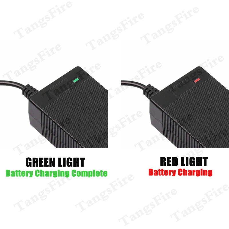 54,6V 1A Intelligentes Li-Ione – Smart Plug Matter Thread Bewertung und Preis
