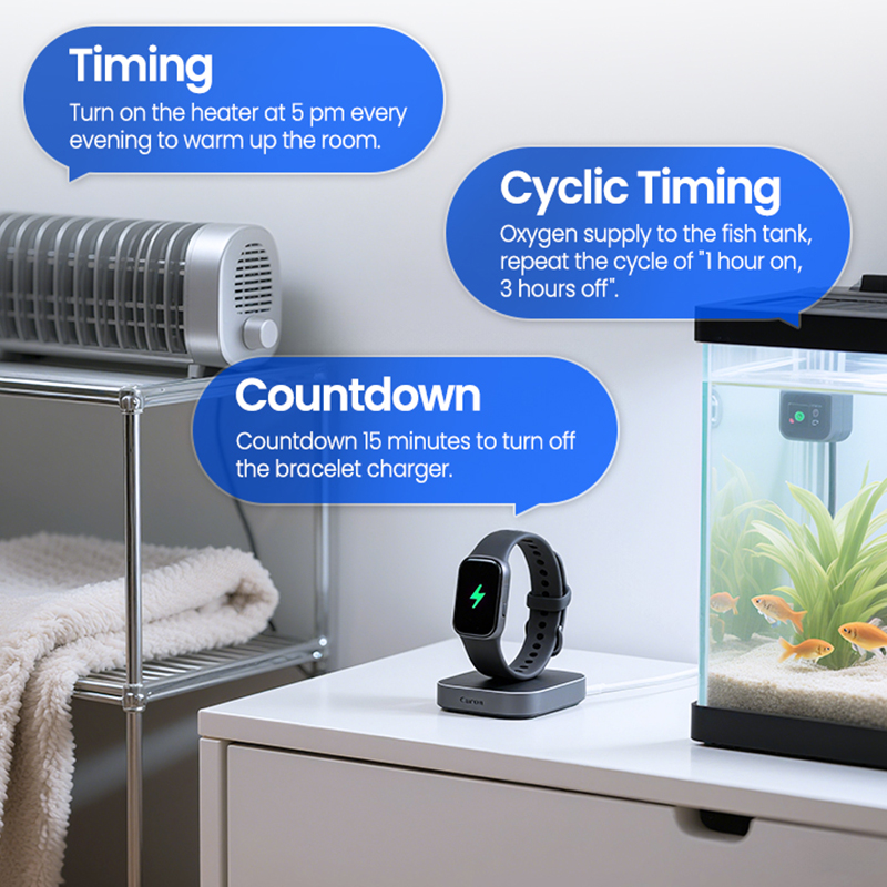 Intelligente WiFi-Buchse BSD60 – Smart Socket With Timer Countdown Bewertung und Preis